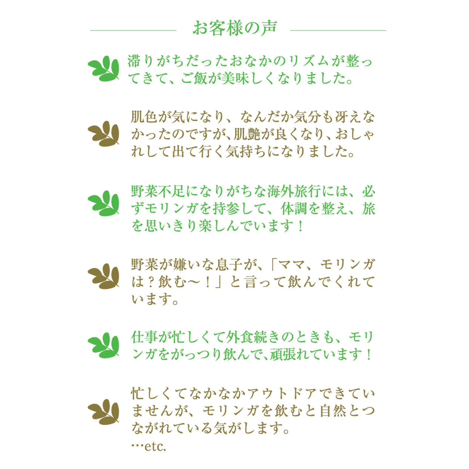 モリンガハイ原料