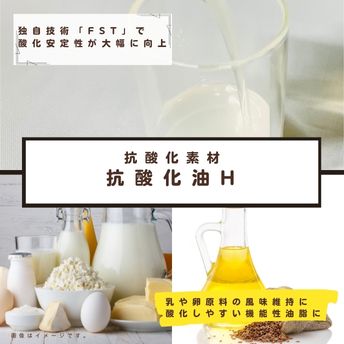 抗酸化油H