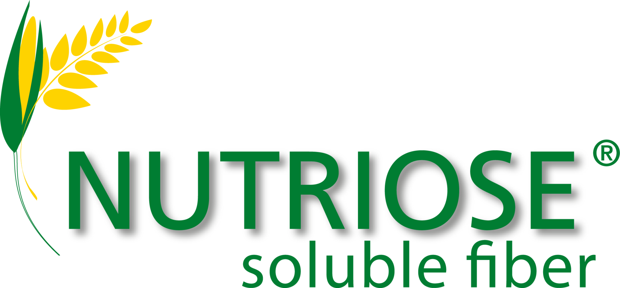 ニュートリオース(NUTRIOSE®) 水溶性食物繊維