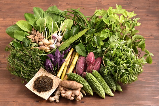 琉球野草発酵エキスパウダー