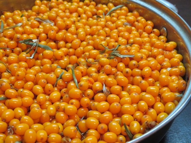 有機サジー果汁パウダー