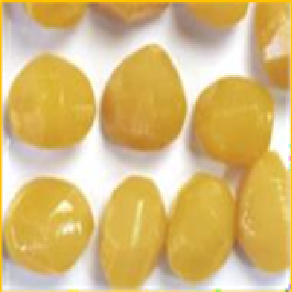 栗甘露煮（中国産）2号缶 ホールM