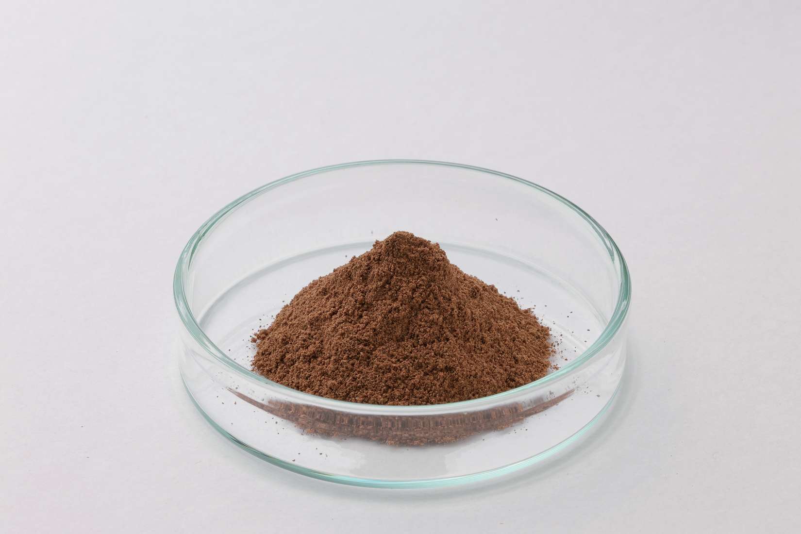 桜島大根粉末（トリゴネリン）