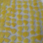 中国産リンゴプレザーブ（扇形10㎜）2㎏アルミパウチ