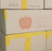 中国産アップルフィリング（シナモン入り）5㎏アルミパウチ