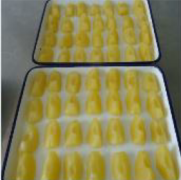 中国産リンゴ（1/4カット）ソリッドパック