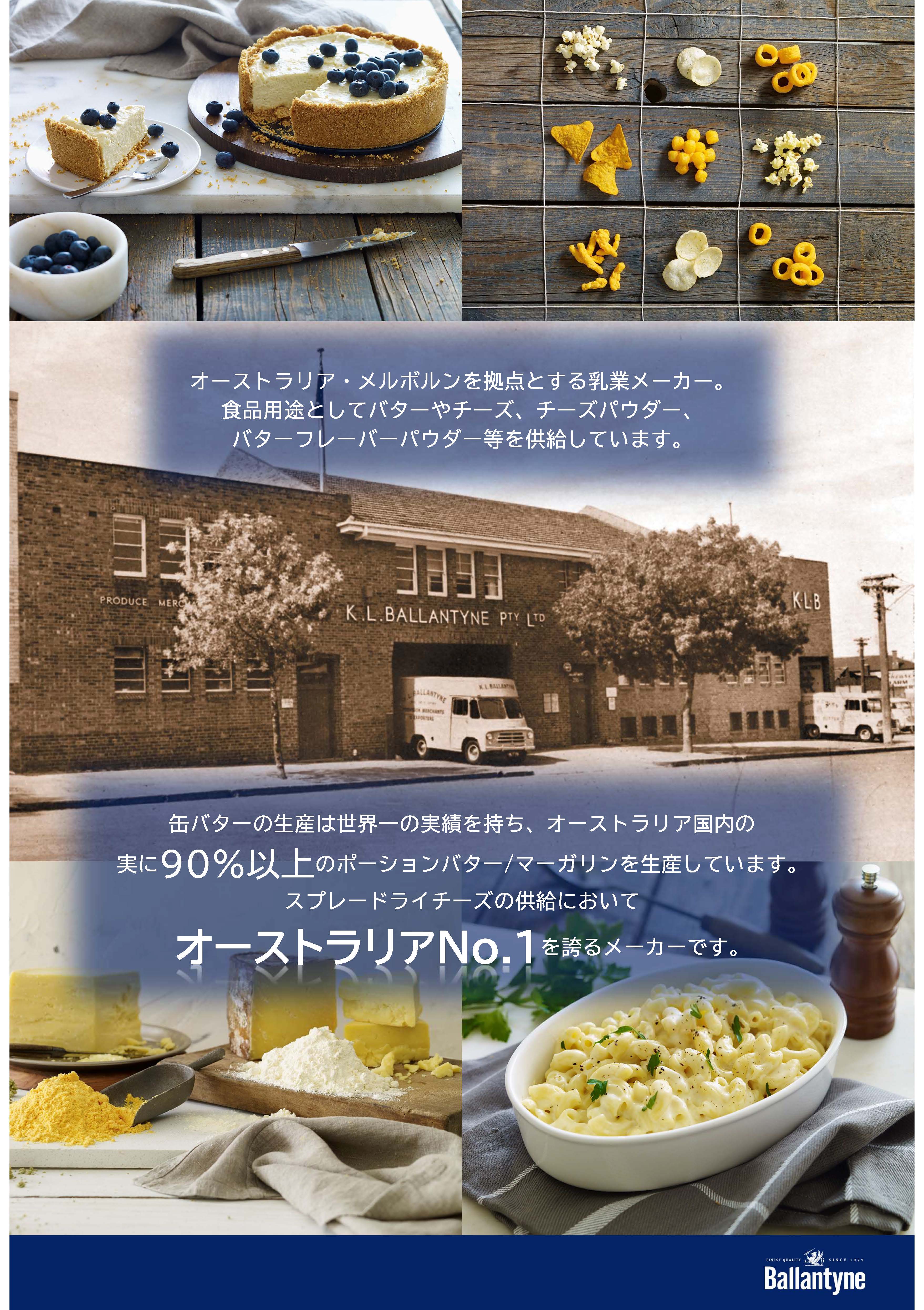 豪州産クリームチーズパウダー