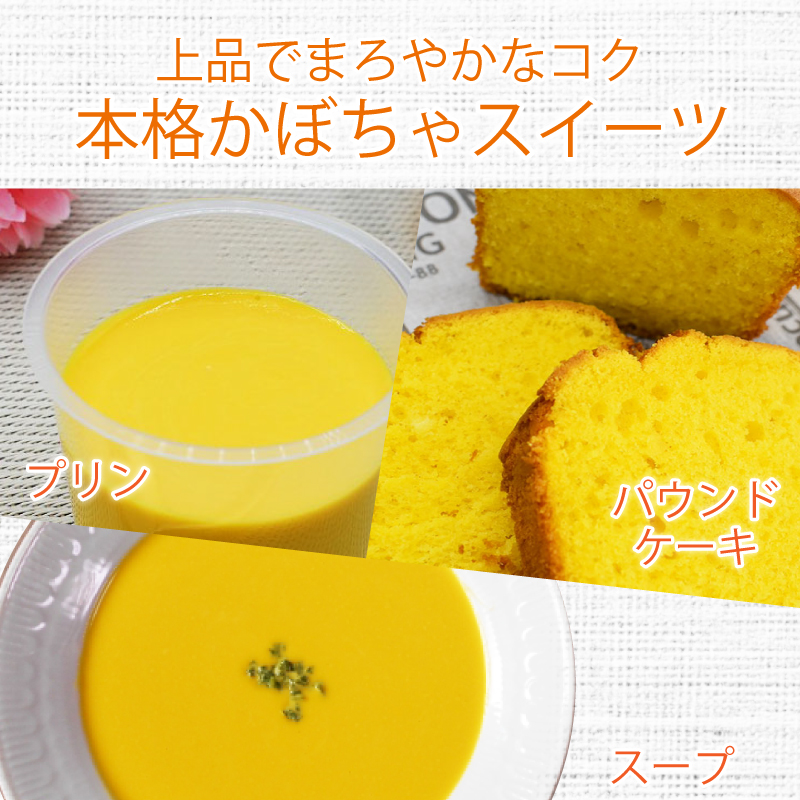 北海道産かぼちゃペースト【10kg】