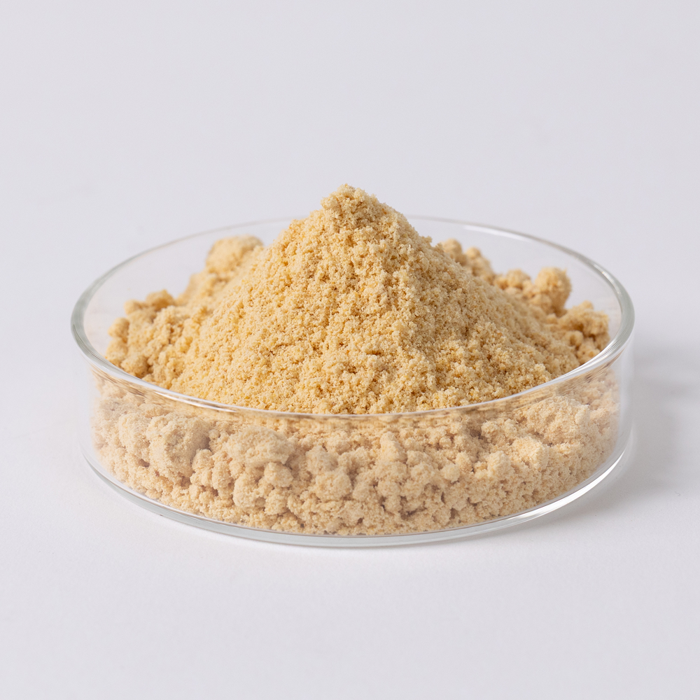 大豆発酵テンペ粉末