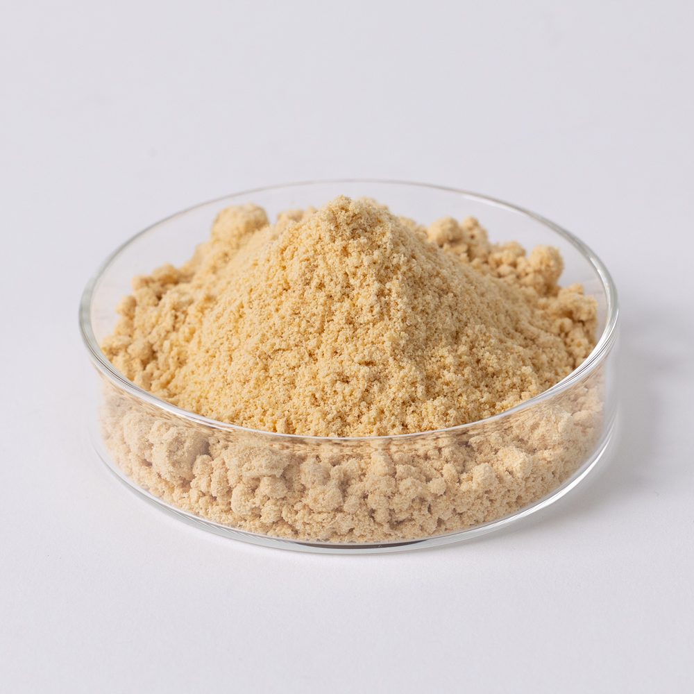 大豆発酵テンペ粉末