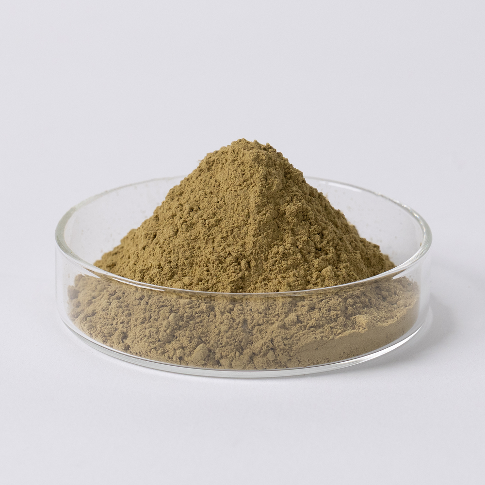 九州産 ヒュウガトウキ葉・茎殺菌粉末