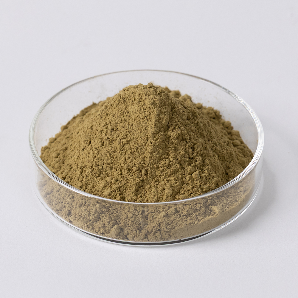 九州産 ヒュウガトウキ葉・茎殺菌粉末