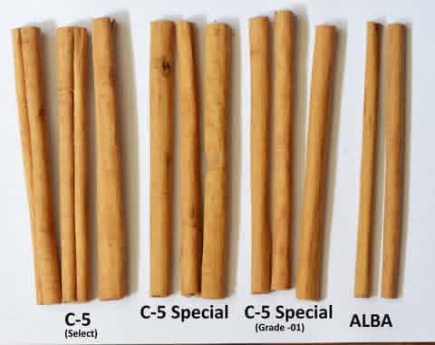 セイロンシナモン