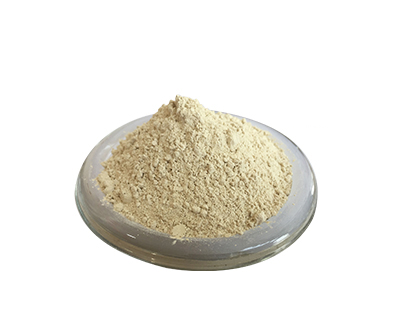 玄米プロテイン(USDA、EUオーガニック認定品)