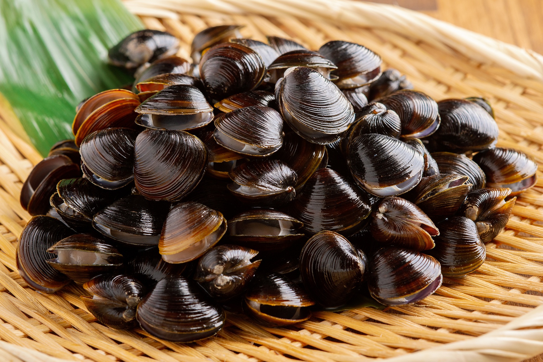 【大粒】北海道網走湖産・急速冷凍しじみ｜年間約200トンの安定供給が可能