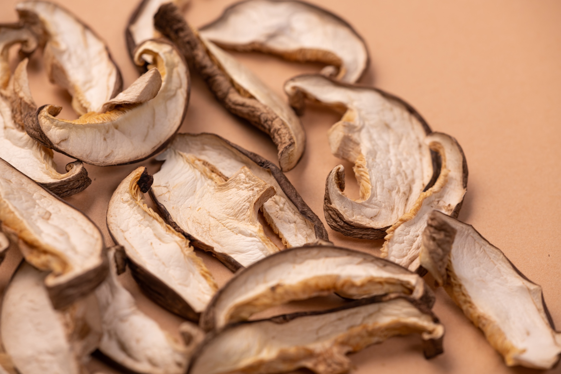 国産 乾燥しいたけ（業務用・OEM対応）