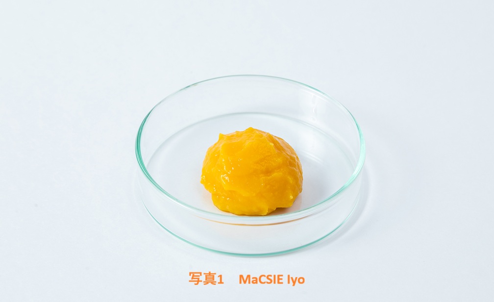 MaCSIE Iyo